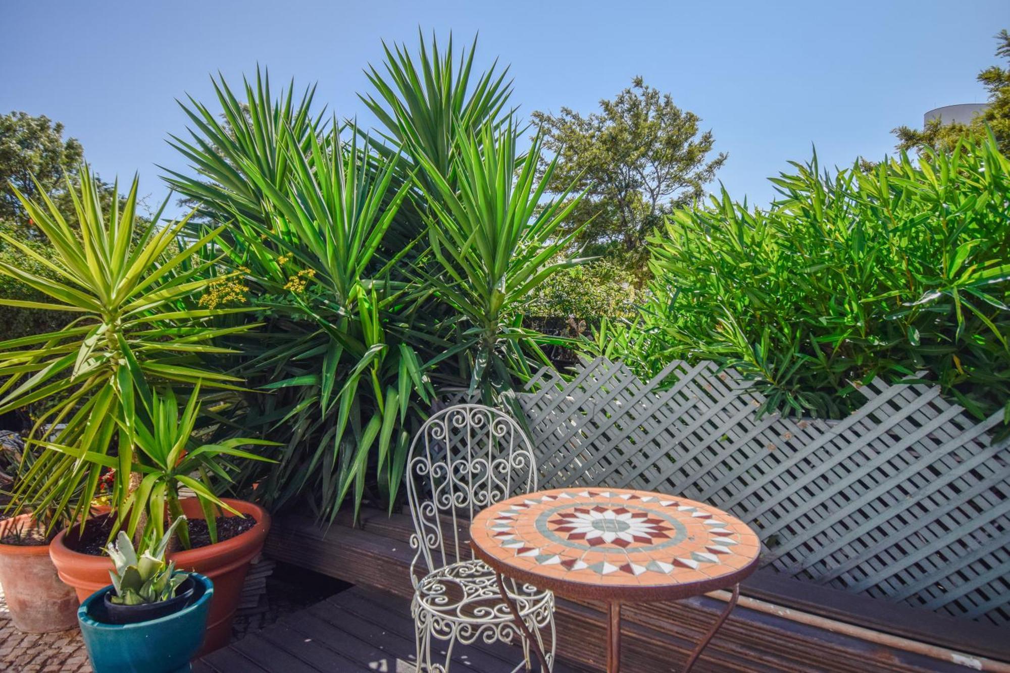 Estoril Prime Stay Exteriör bild